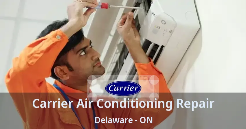 Carrier Air Conditioning Repair Delaware - ON