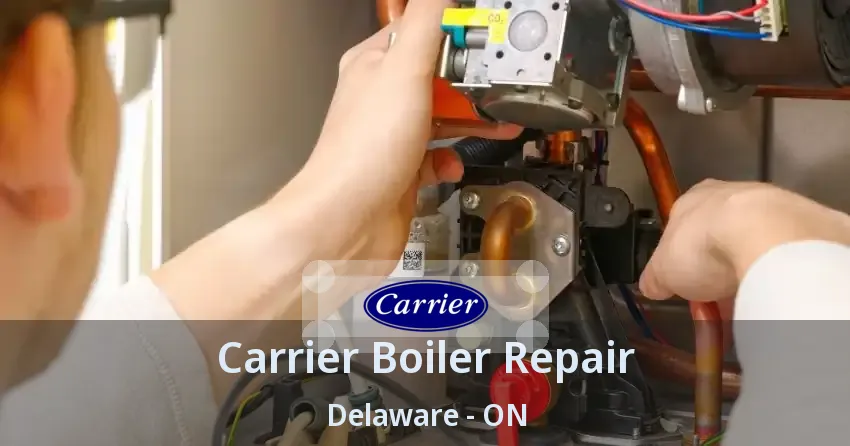 Carrier Boiler Repair Delaware - ON