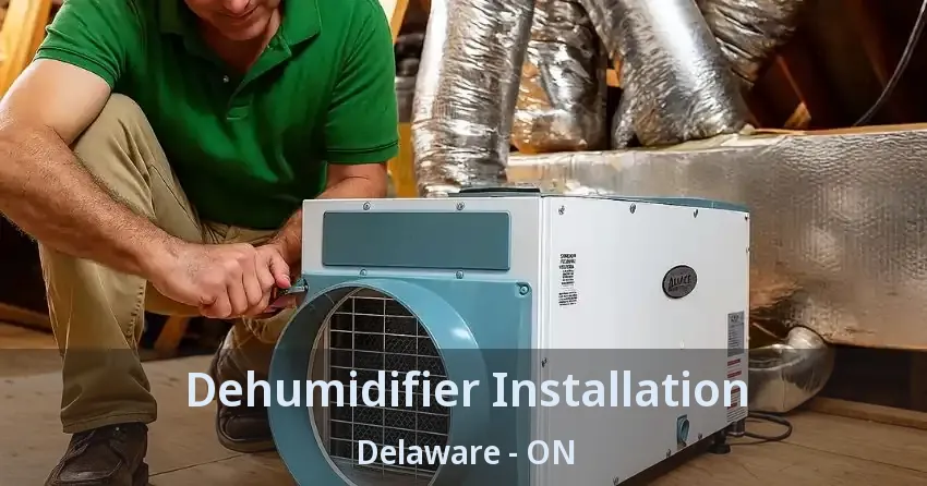 Dehumidifier Installation Delaware - ON