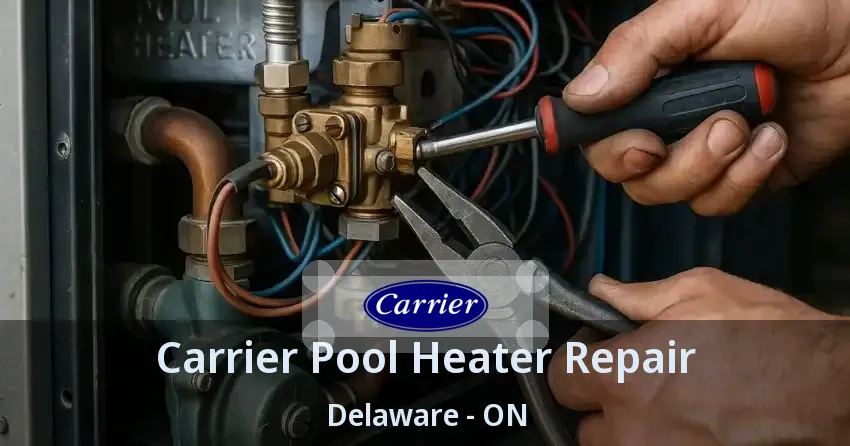 Carrier Pool Heater Repair Delaware - ON