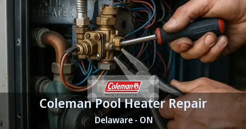 Coleman Pool Heater Repair Delaware - ON