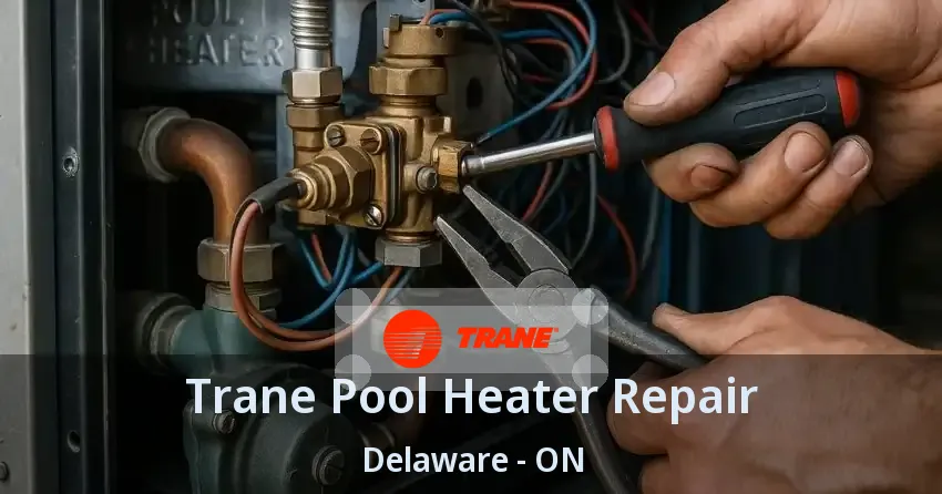 Trane Pool Heater Repair Delaware - ON